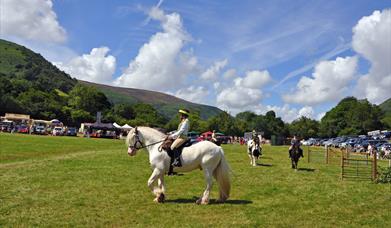 Llanthony Show