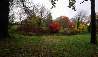 Bryngwyn Manor Autumn