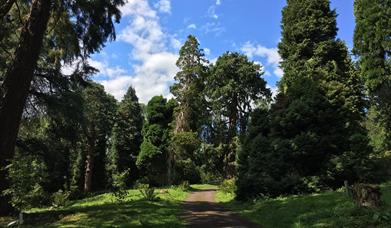 Cefn Ila by Tom Maloney