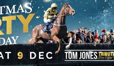 Christmas Party Raceday