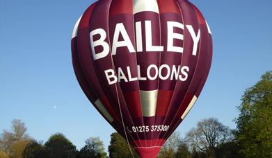 Bailey Balloons