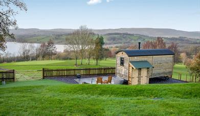 Woodlake Shepherd's Hut