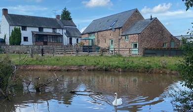 Farmhouse, Mallards Barn, Oaklands Cottage, The Cygnet Sudio