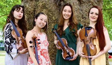 The Salomé String Quartet