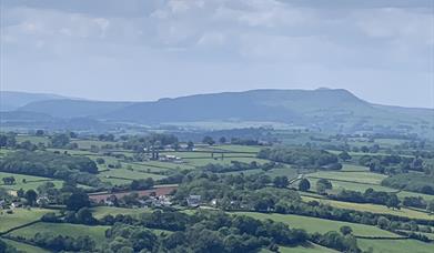 The view from Buckholt Wood