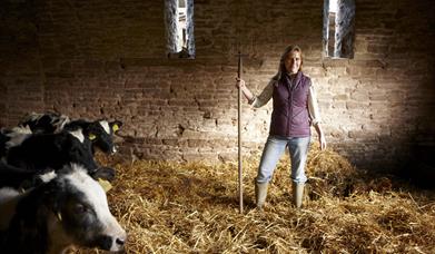 Kate Beavan & calves