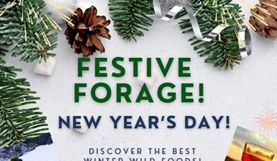 New Year's Day Festive Forage