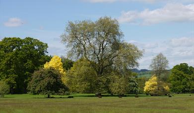 Llanover Park