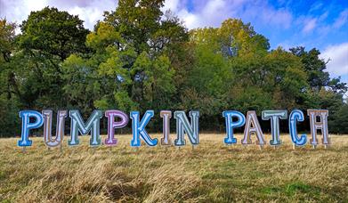 Billy Bob's Pumpkin Patch