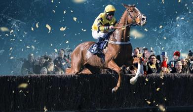 Christmas Party Raceday