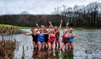 Swim Wild