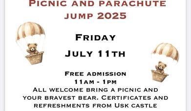 Teddy Bear Picnic
