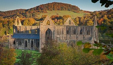 Tintern Abbey