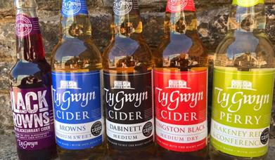 Ty Gwyn Cider