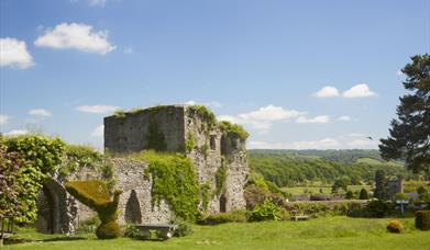 Usk Castle