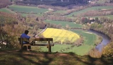Whitestone Viewpoint