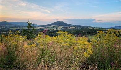 View from the Little Skirrid by @jaynebradshaw1 on Instagram