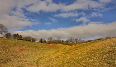 springdale farm april 2021 (hugh gregory) (1)