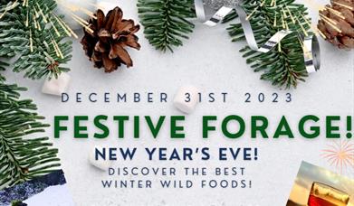 Festive Forage with wild sips & nibbles!
