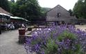 Abbey Mill
