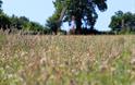 Pentwyn Farm
