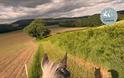 horse in a field taken from horse back looking between horses ears in monmouthshire landscape