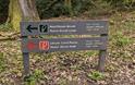 Natural Resources Wales sign post pointing to trails, Manor Brook Leap and Manor Wood Walk