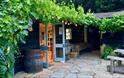 Branch and Vine in Tintern the Hop Garden showing hops growing on barn and old barrels