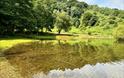 @shirls_lawton Punchbowl