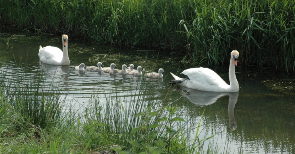 Nature Reserves - Visit Monmouthshire