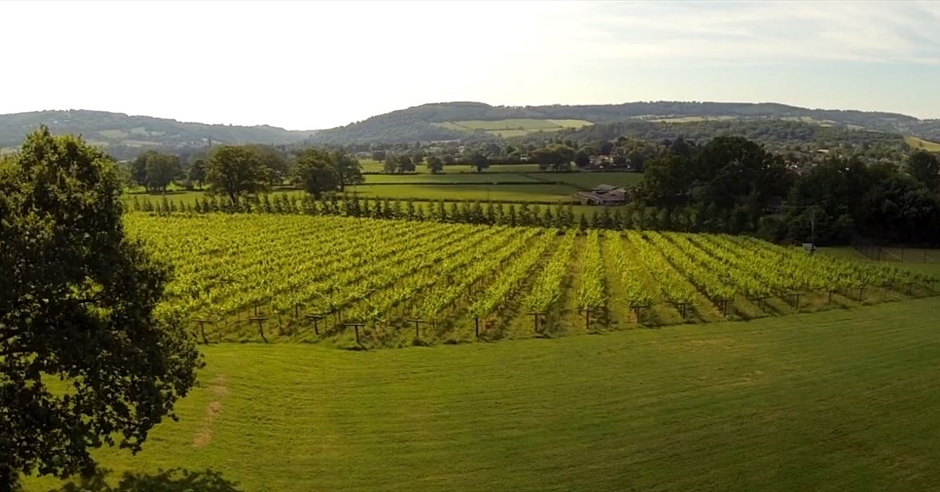 Ancre Hill Vineyard Vineyard in Monmouth Monmouth Visit