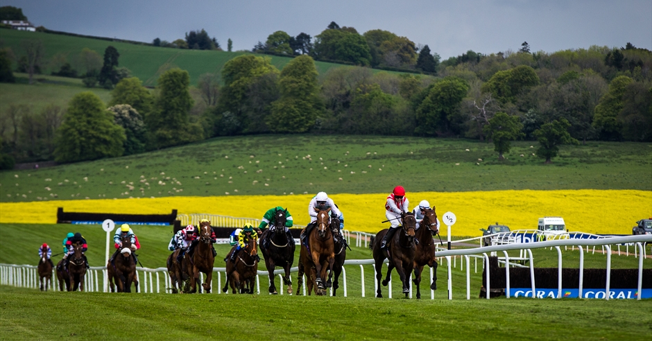 August Afternoon Flat Racing - Horse Racing in Chepstow, Chepstow ...
