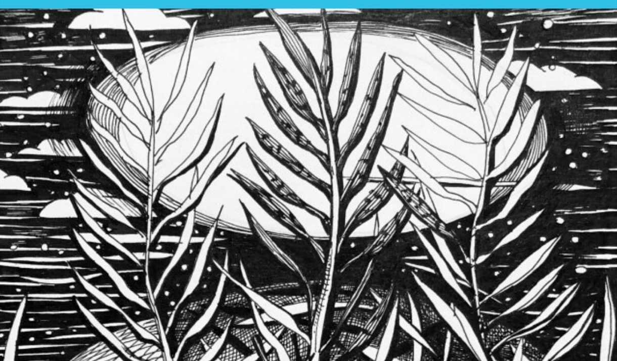 Forest and rivers art trail