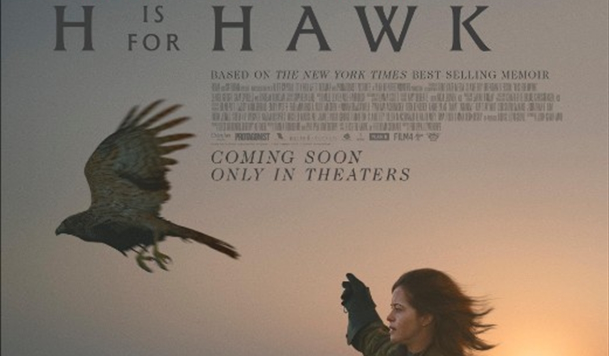 H is for Hawk women  - falconer with hawk flying