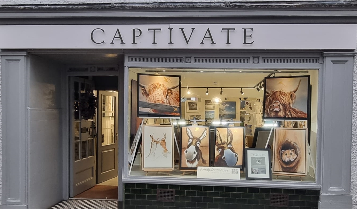Captivate Gallery