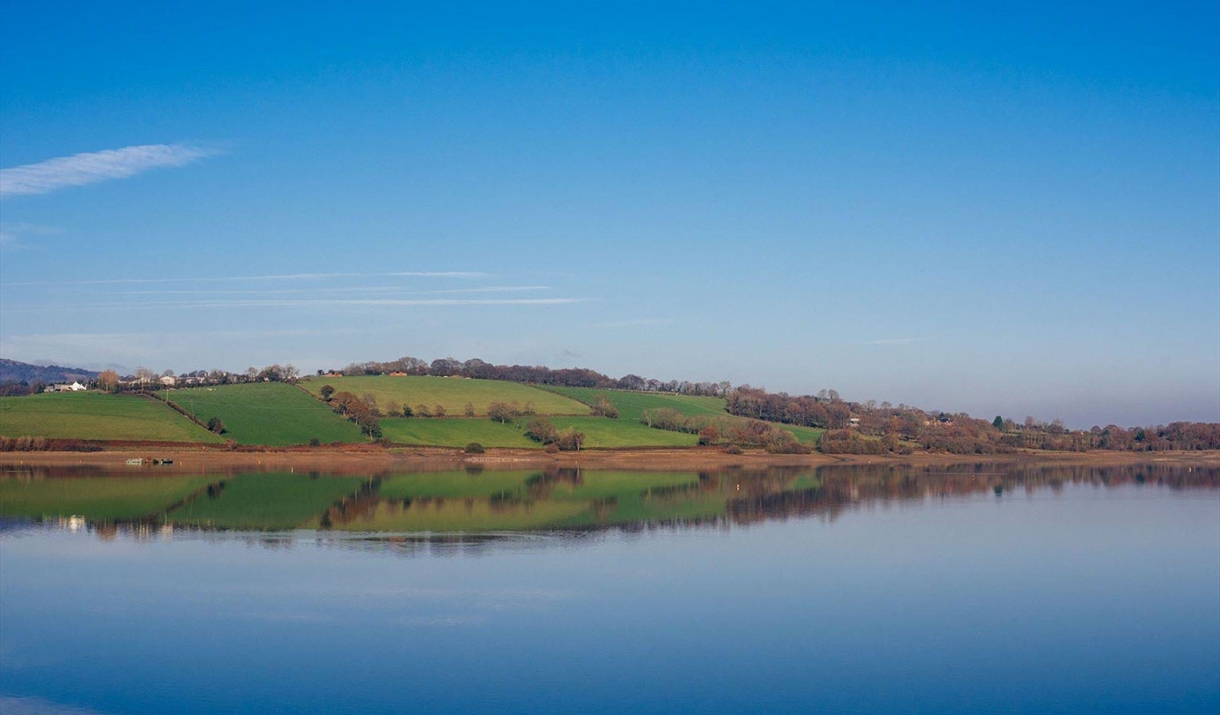 Scenery at Llandegfedd Lake