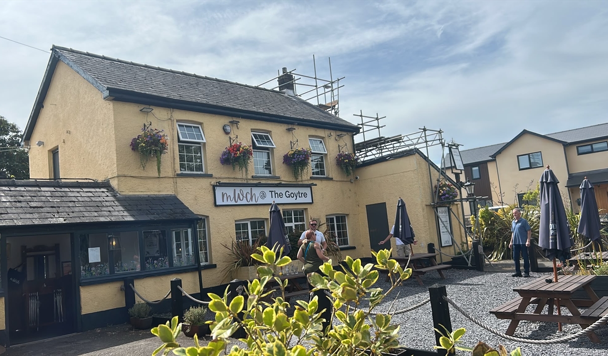 Mwch at The Goytre