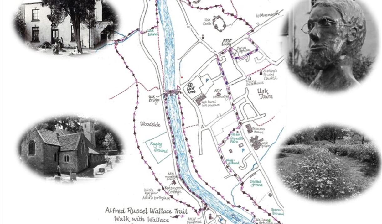 ARW Trail