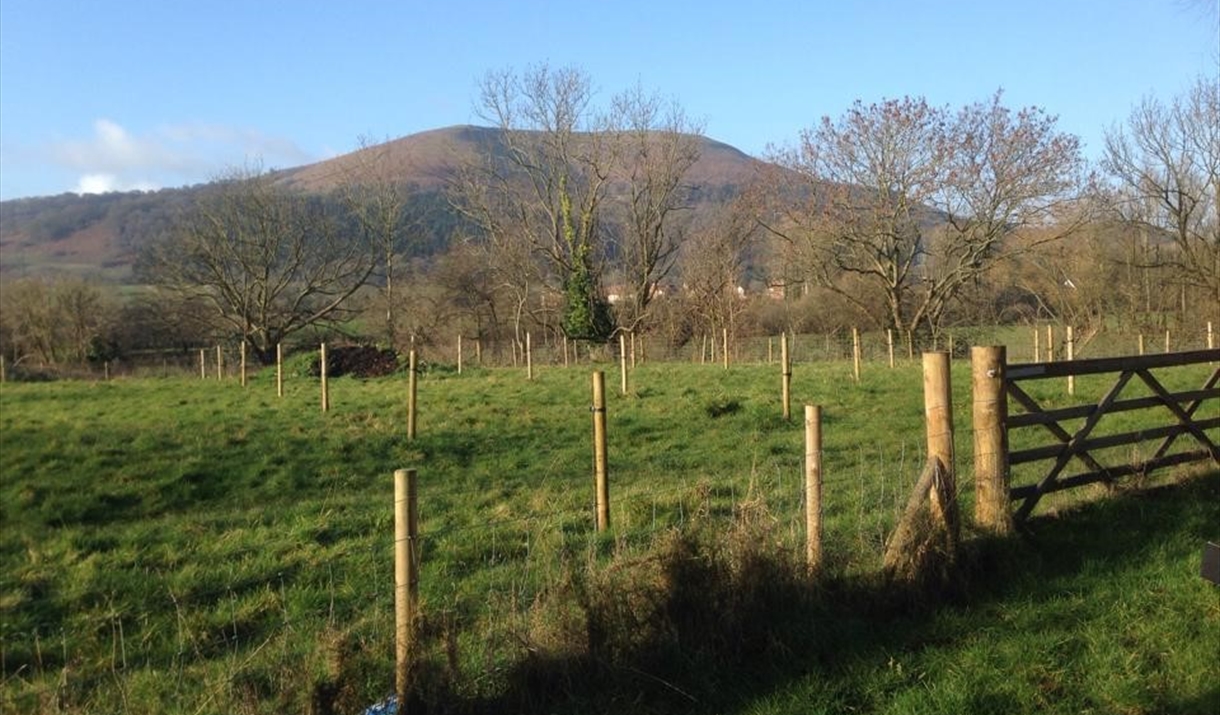 Abergavenny Community Orchard