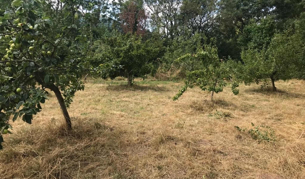 Laurie Jones Community Orchard & Gardens - Orchard in Abergavenny ...