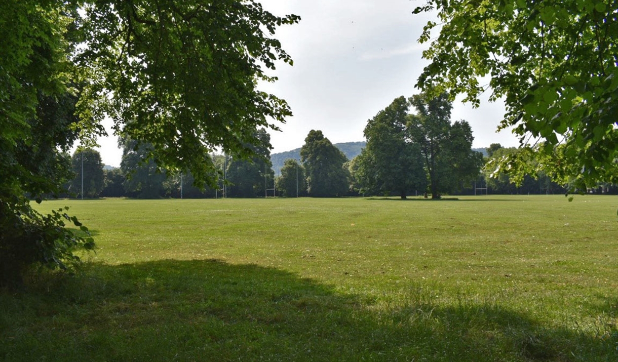 Chippenham fields in monmouth showing open park with green grass, mature beautiful trees and sunny day