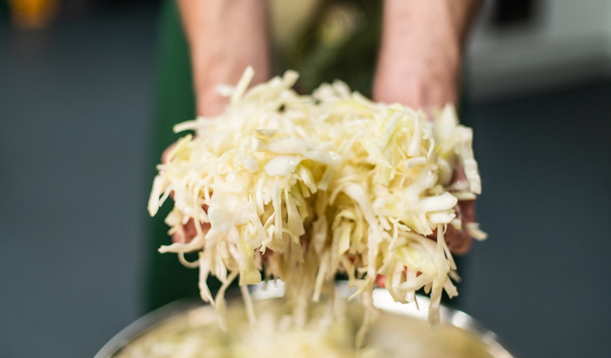 A pair of hands holding shredded white cabbage above a metal bowl