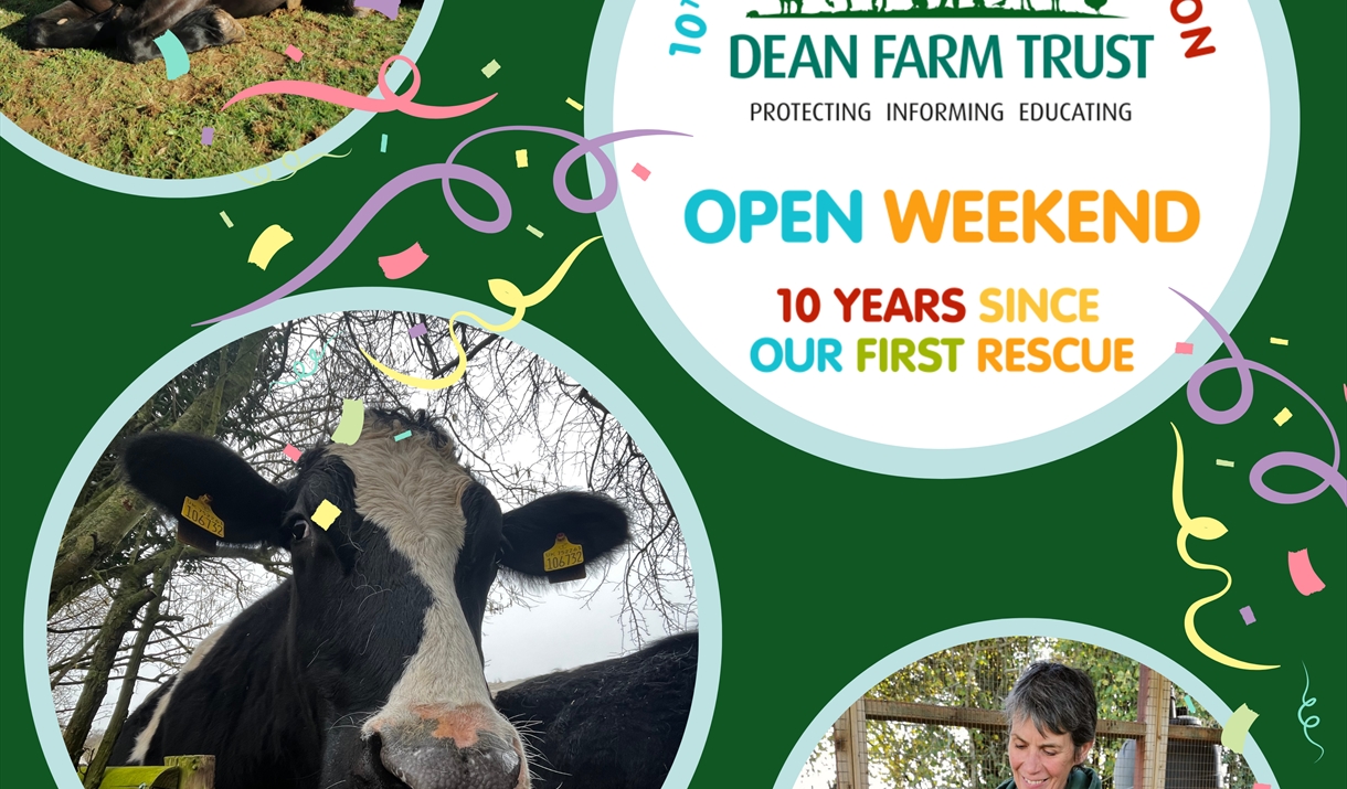 Dean Farm Trust Open Weekend