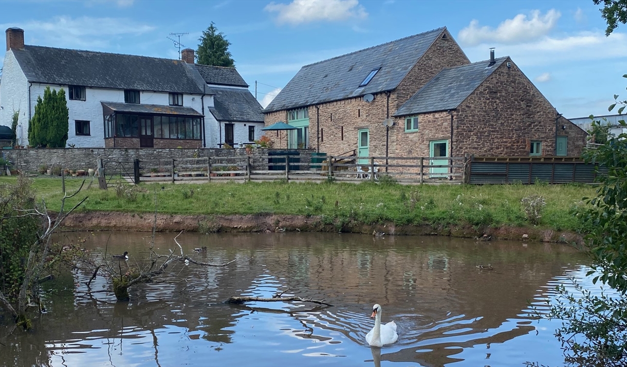 Farmhouse, Mallards Barn, Oaklands Cottage, The Cygnet Sudio