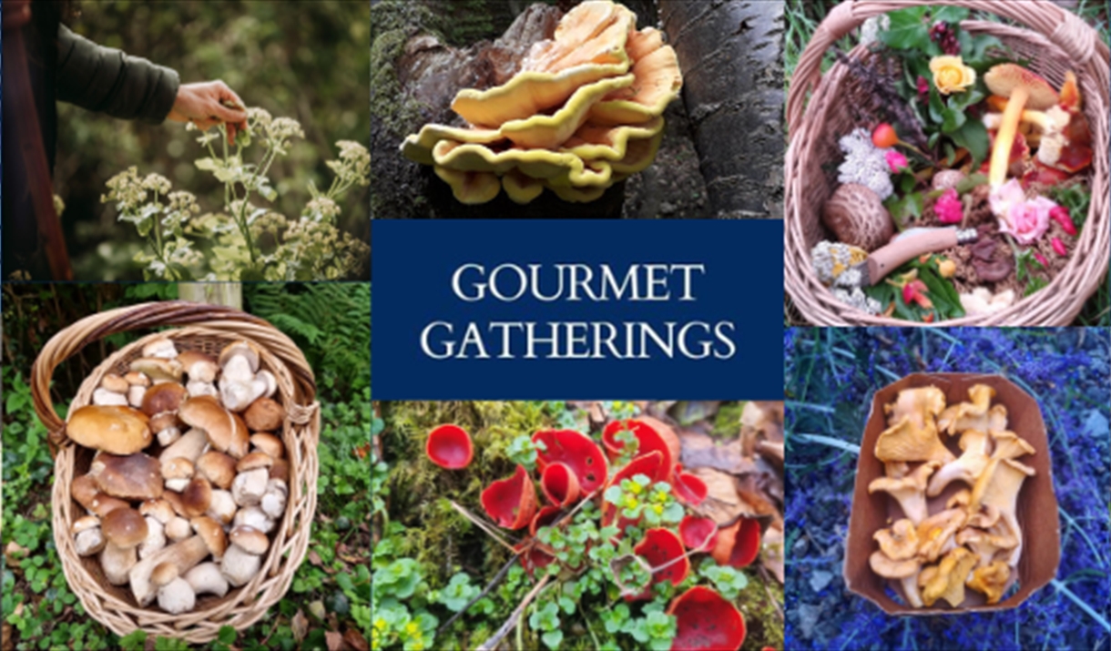 Gourmet Gatherings Foraging Experiences