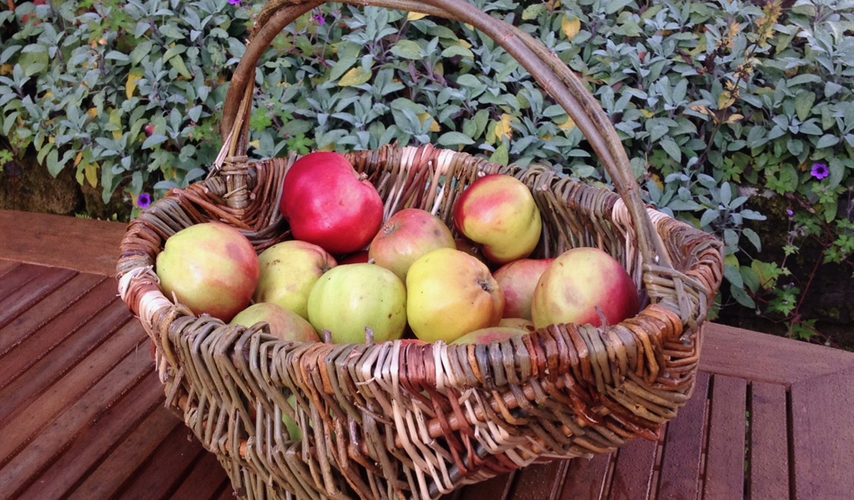 Weave a willow frame basket at Humble by Nature Kate Humble's farm