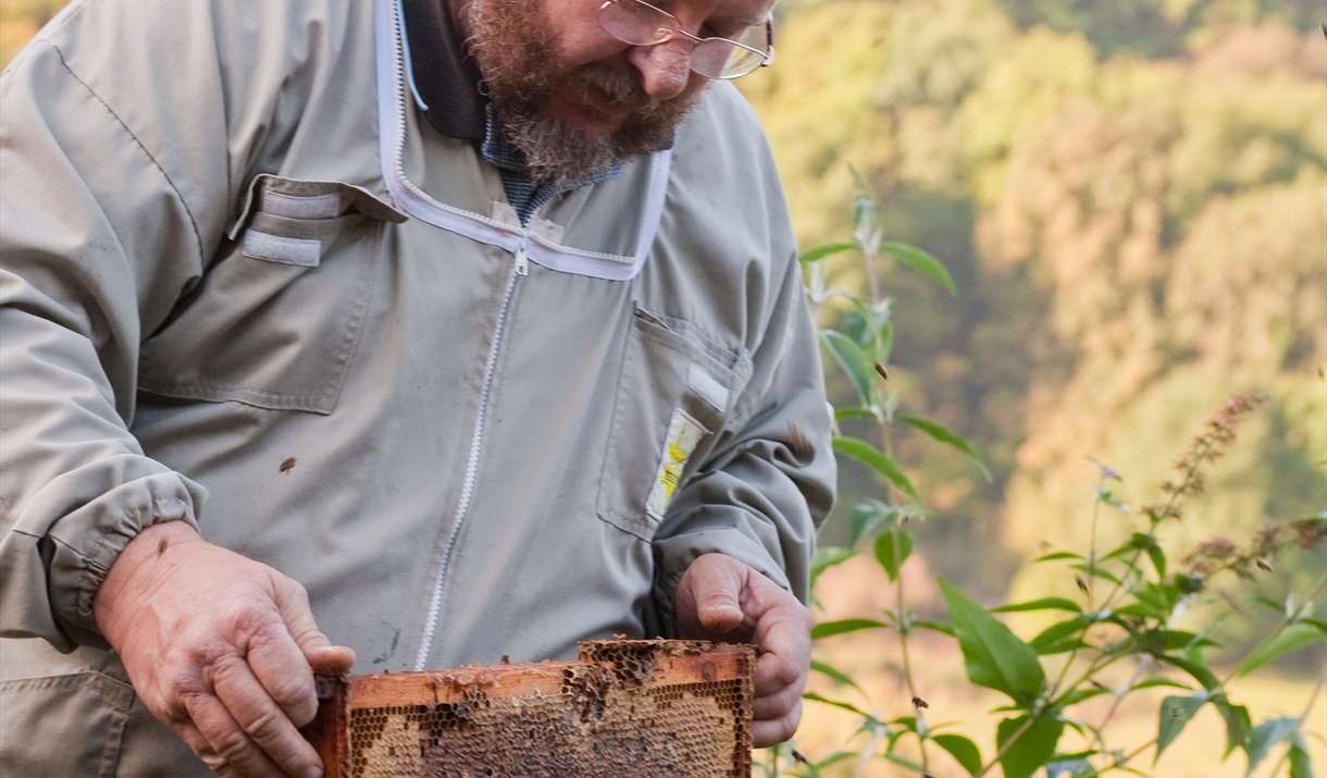 Gareth Baker inspecting ones of his hives
