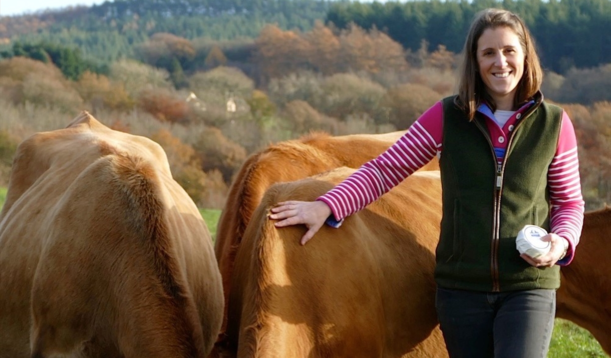 Hannah and cows grazing