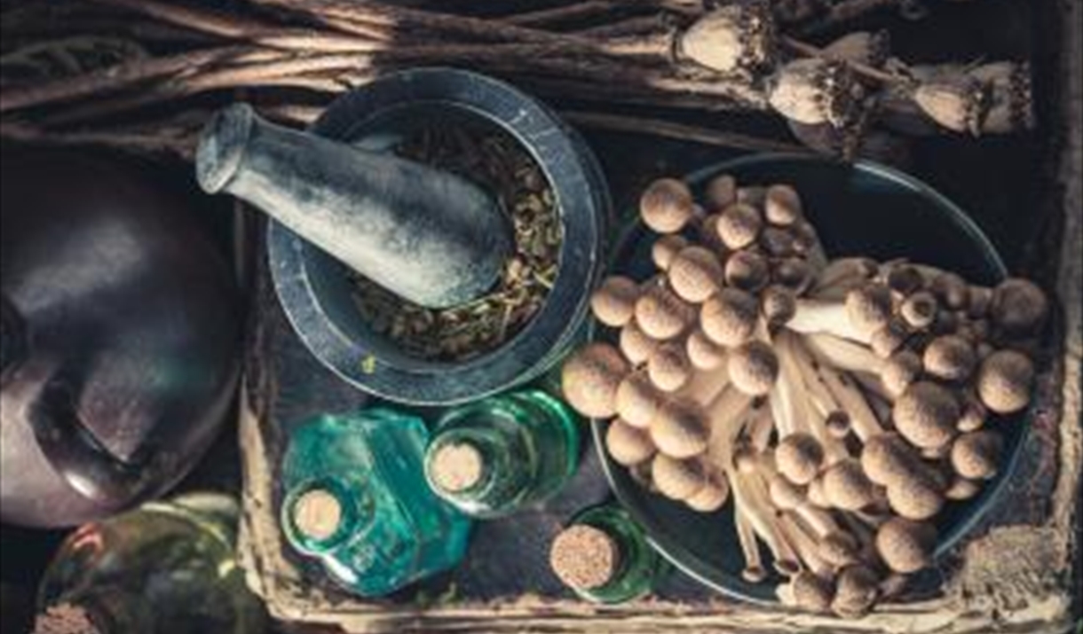 mushrooms and glass jars