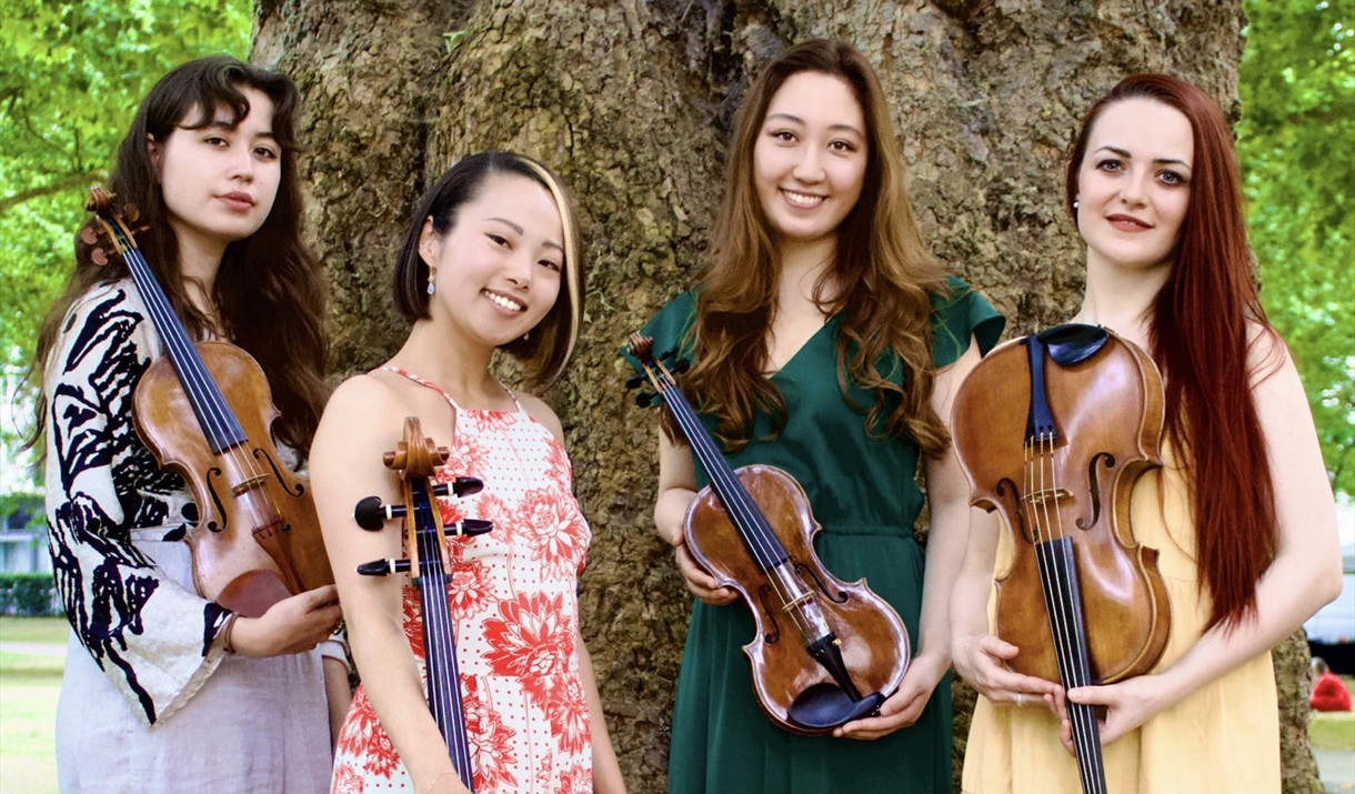 The Salomé String Quartet